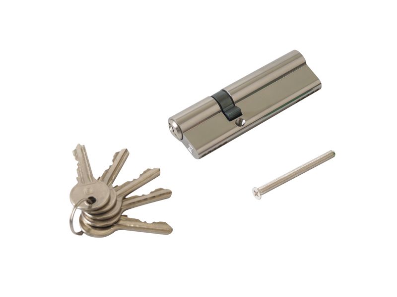 Цилиндр профильный ELEMENTIS 35/65, 5 ключей, никелированный. Рис. 1