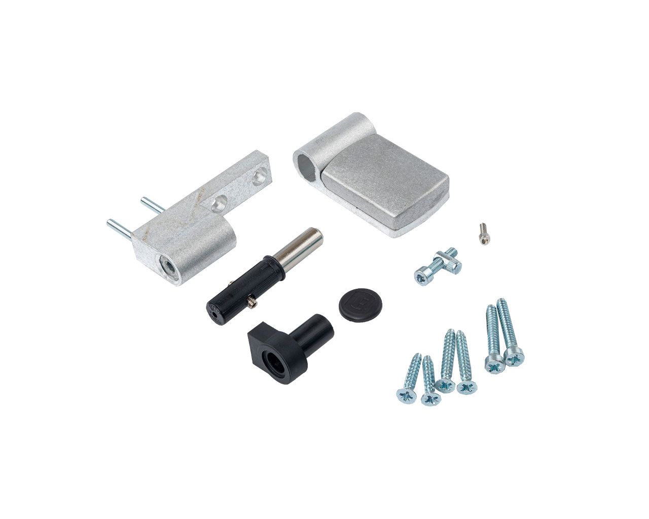 Петля дверная Elementis KTS-RT (15-20 мм), на 100кг., Неокрашенная. Рис. 1