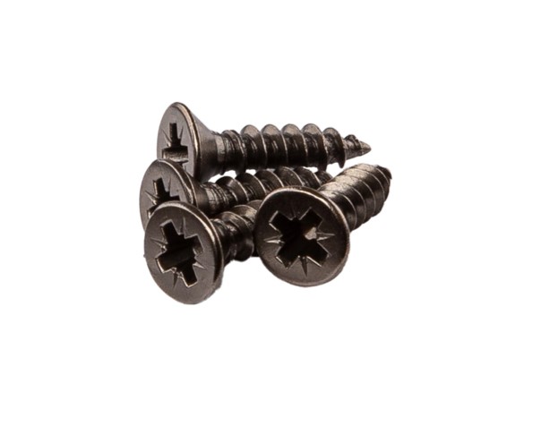 FIRMAX Шуруп 4.0х16 мм, потайная головка PZ2, титан. (блистер 4 шт.)